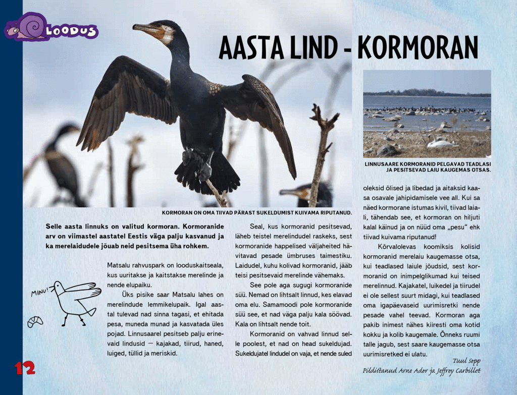 Aasta lind – kormoran