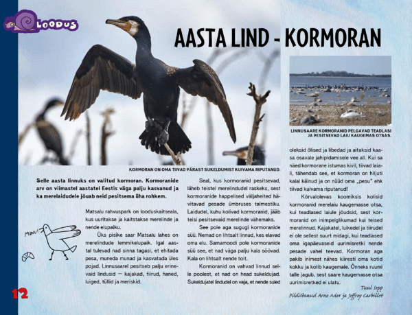 Aasta lind – kormoran