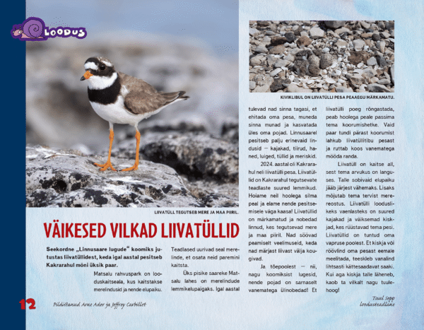 Väikesed vilkad liivatüllid