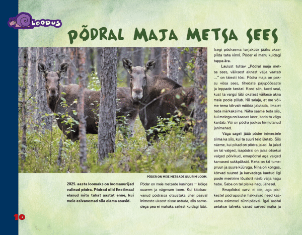 Põdral maja metsa sees