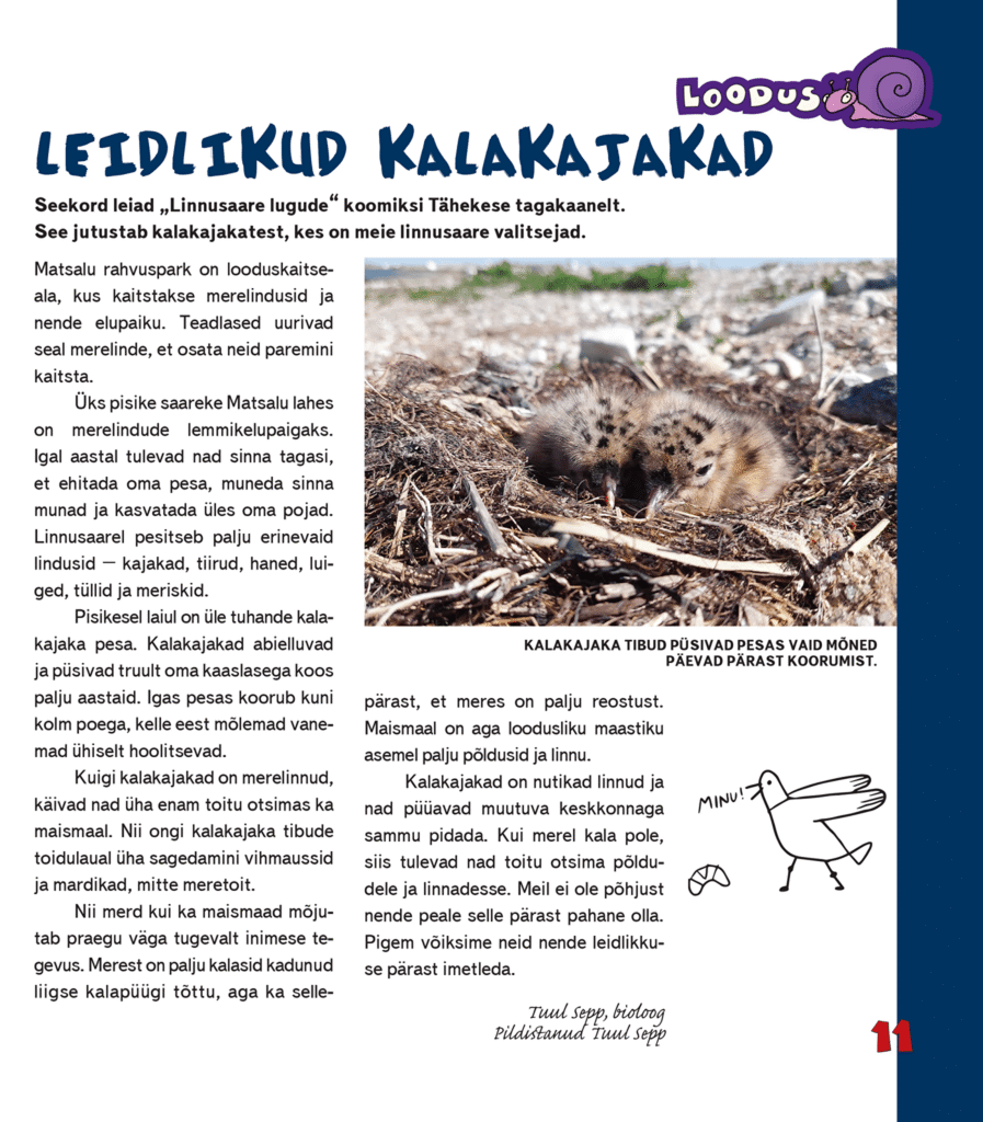 Leidlikud kalakajakad