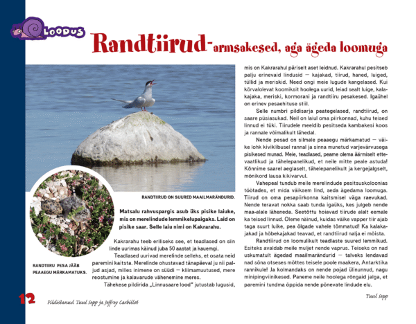 Randtiirud – armsakesed, aga ägeda loomuga