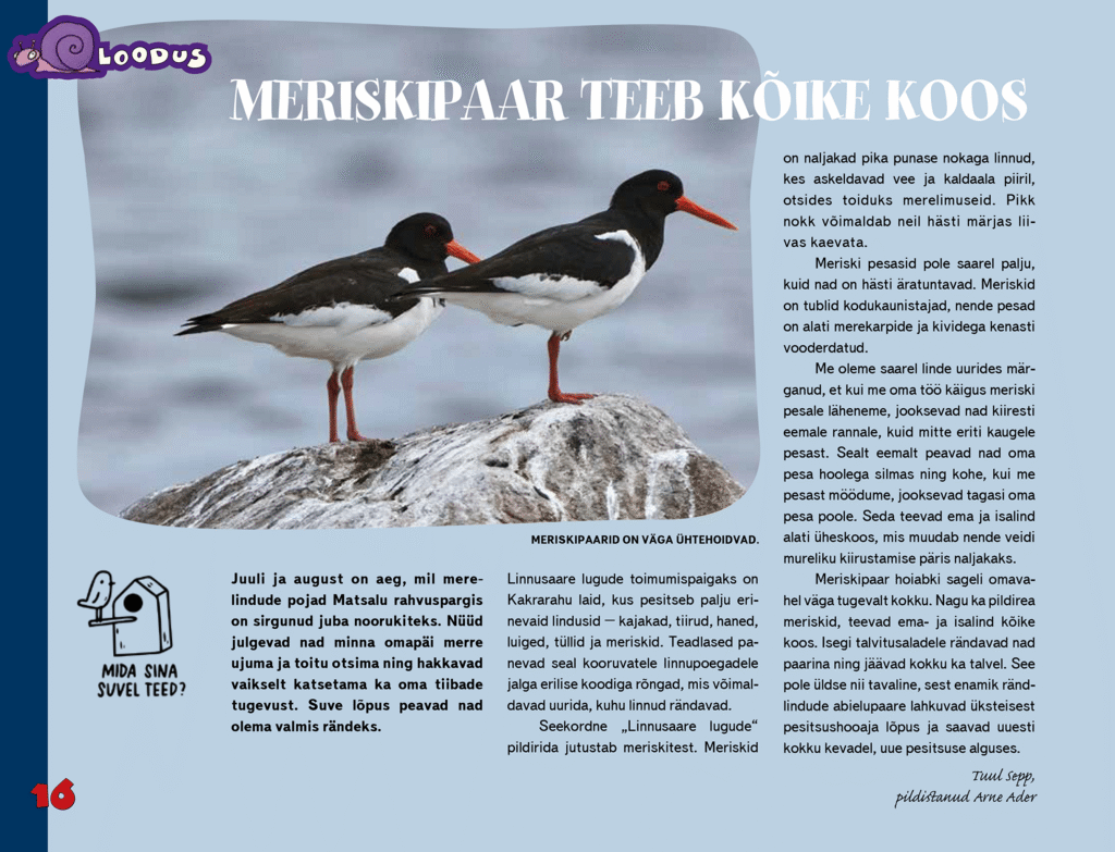 Meriskipaar teeb kõike koos